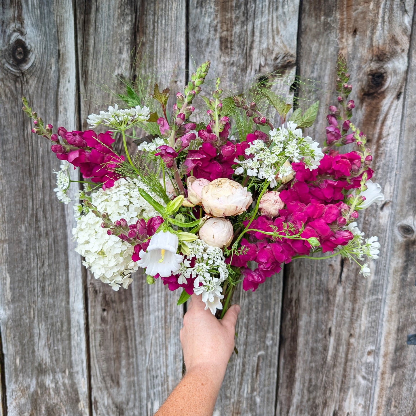 Seasonal Bouquet | Locally Grown