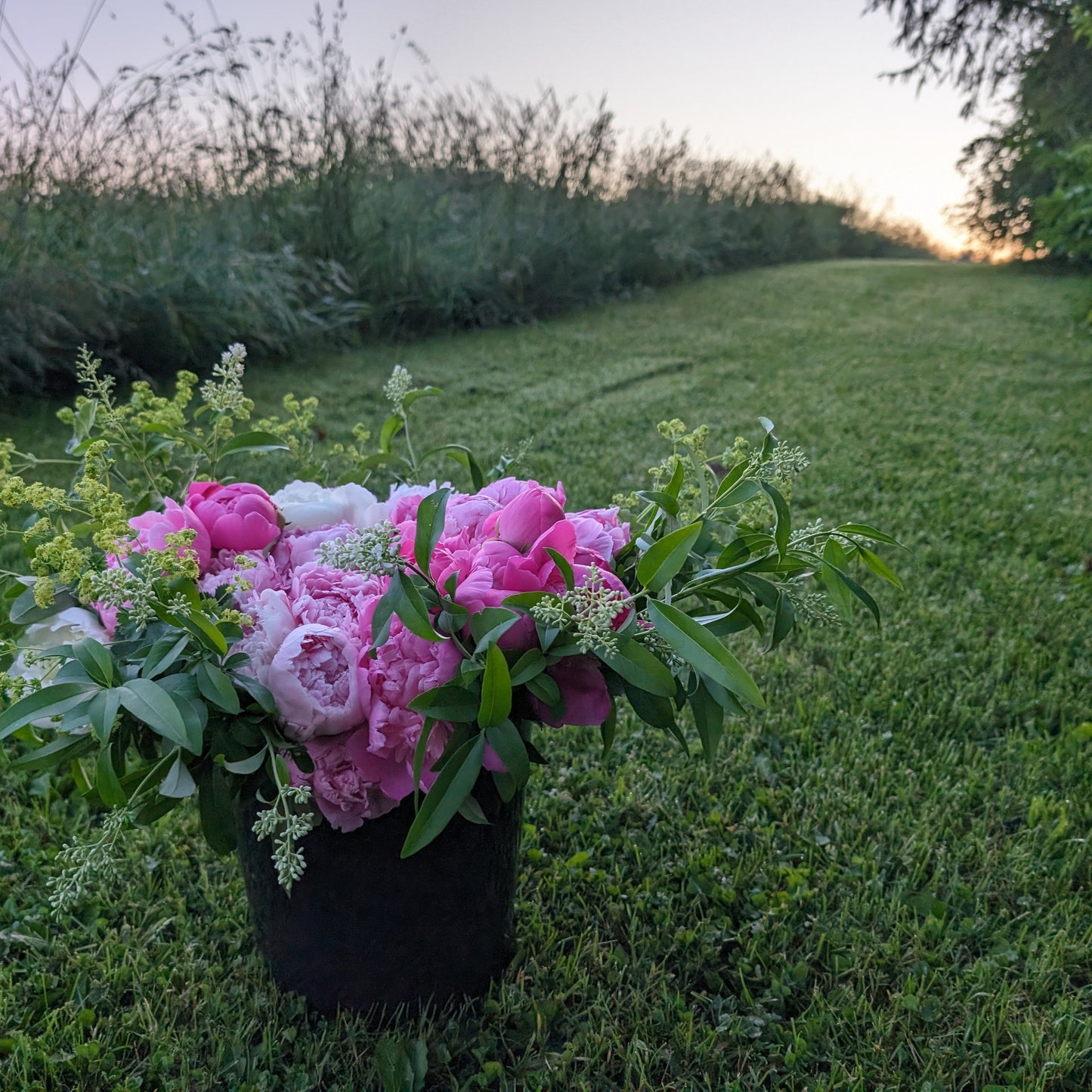 2025 Presale | Fresh Local Flowers, Weekly Subscription | June 2025