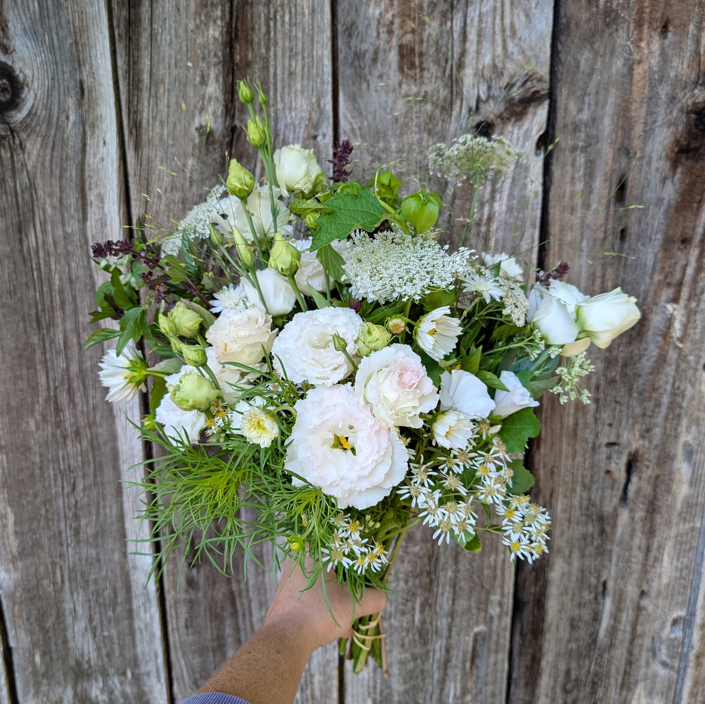 2026 Presale | Fresh Local Flowers, Monthly Subscription