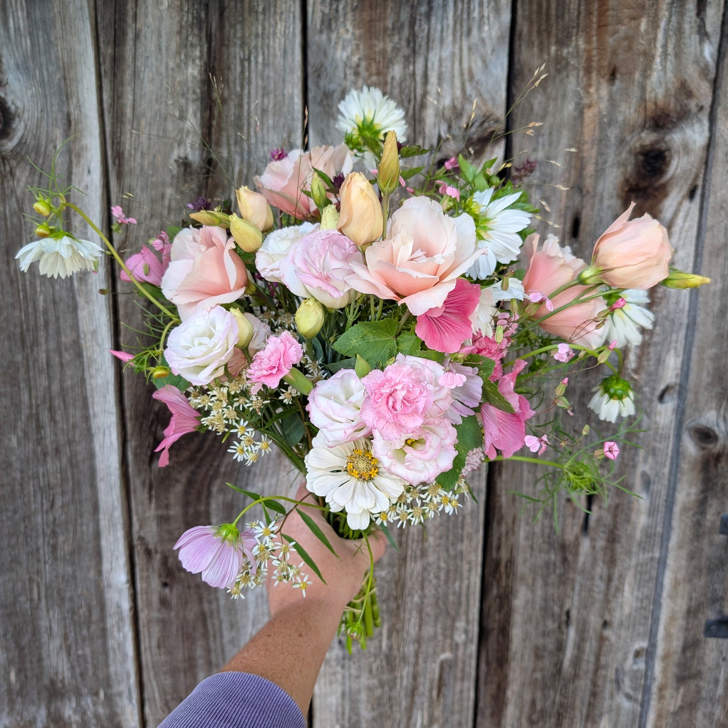 2026 Presale | Fresh Local Flowers, Monthly Subscription