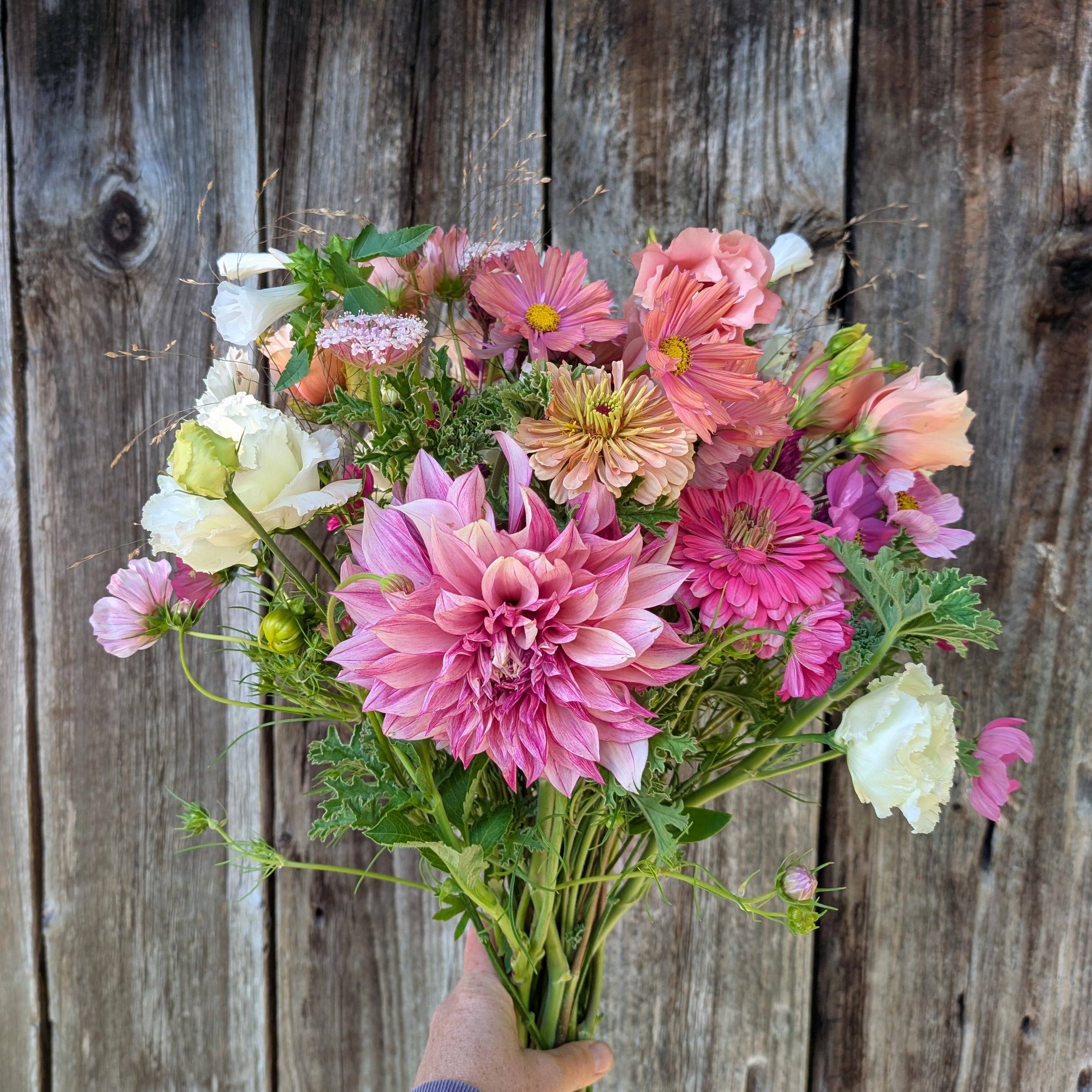 Deluxe Seasonal Mixed Bouquet | Locally Grown – North River Meadows