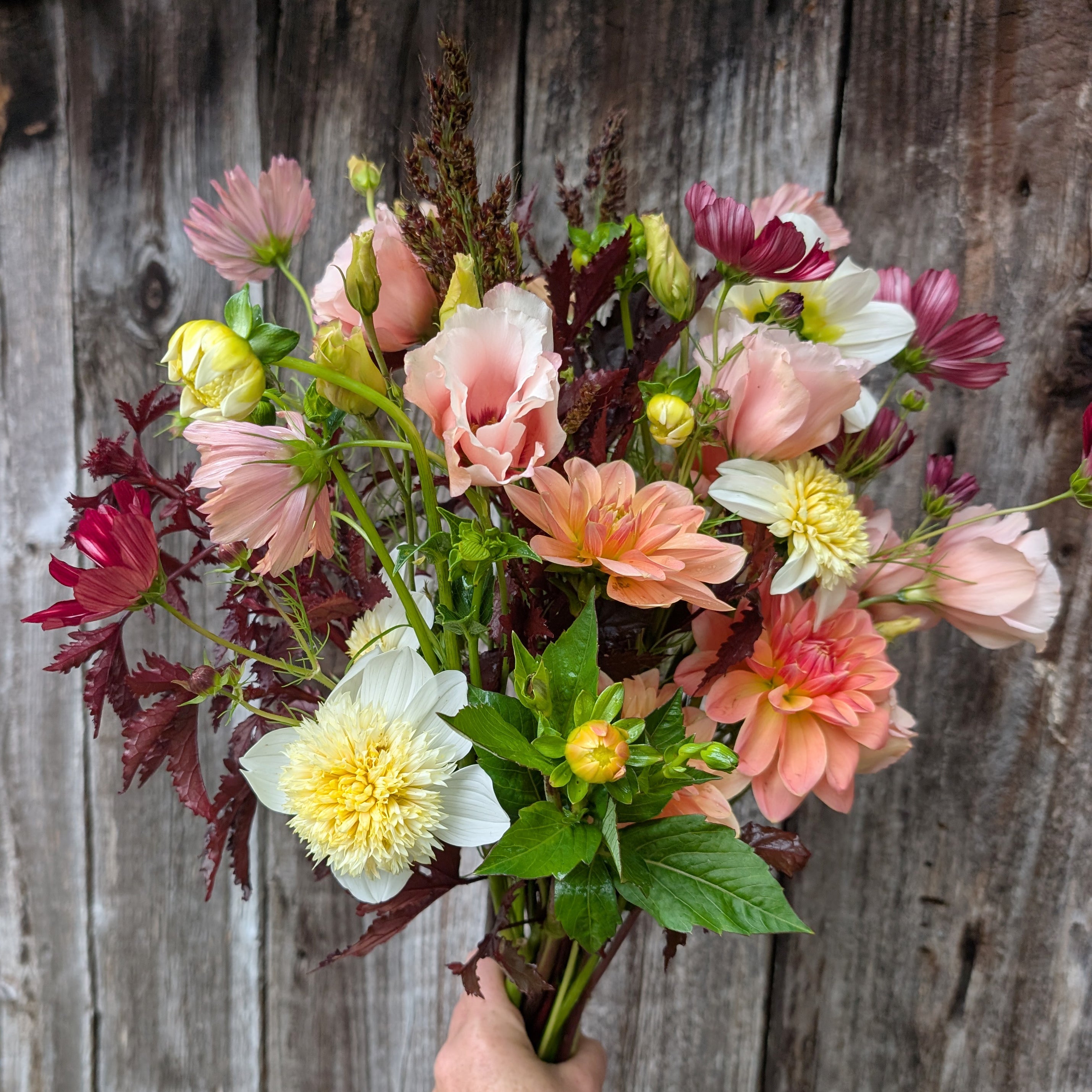 Deluxe Seasonal Mixed Bouquet | Locally Grown – North River Meadows