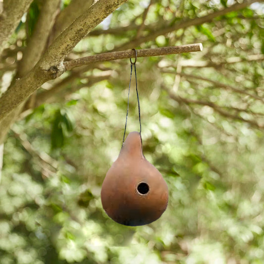 Birdhouse Gourd | Annual | Seeds