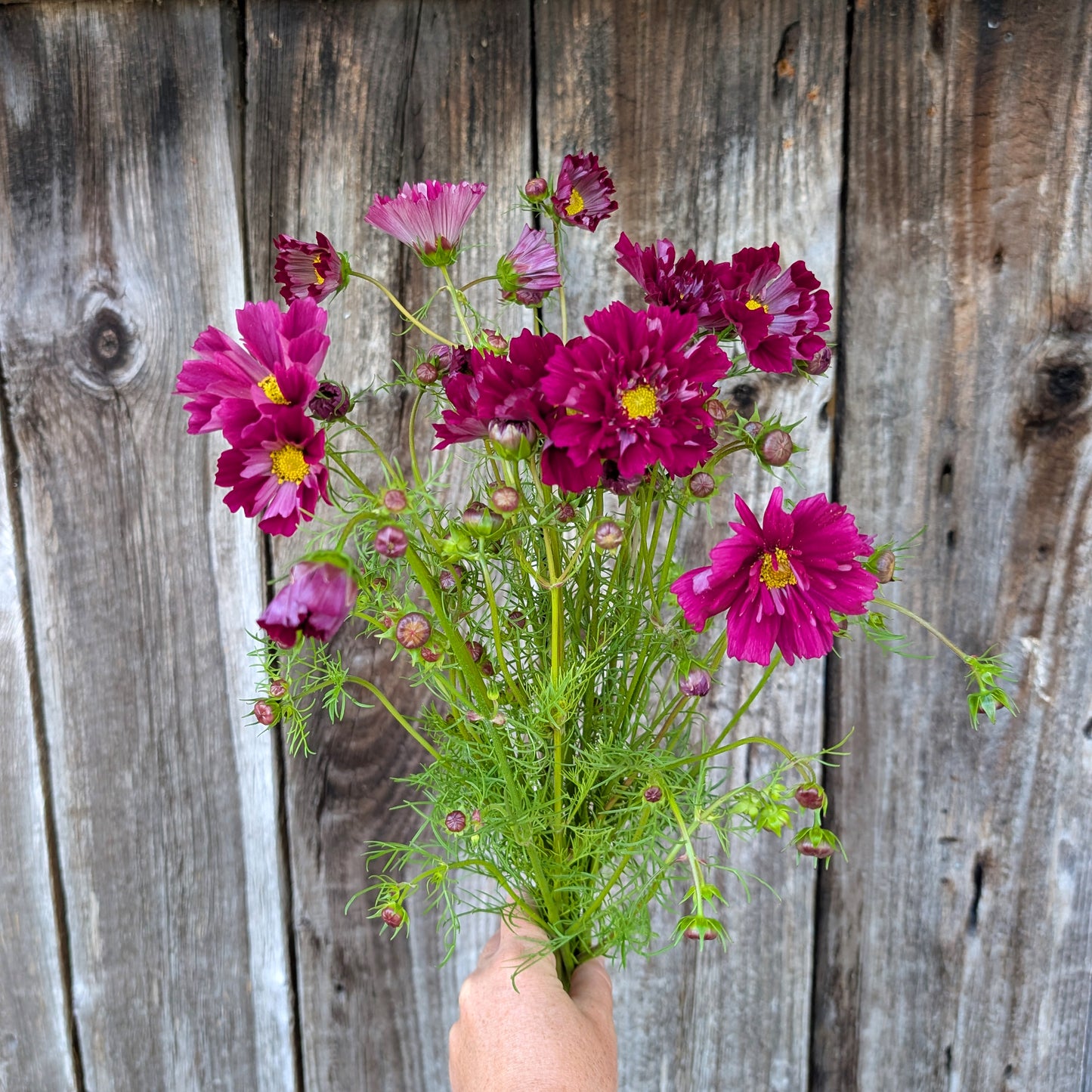 2026 Presale | Growers Bunch, Monthly Subscription