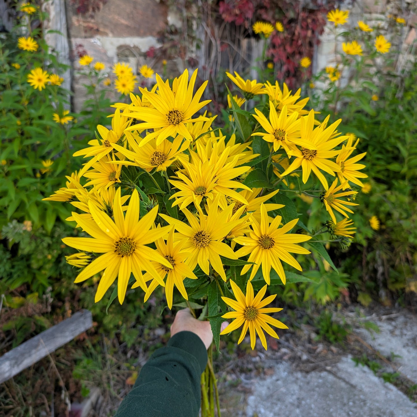 2026 Presale | Growers Bunch, Monthly Subscription