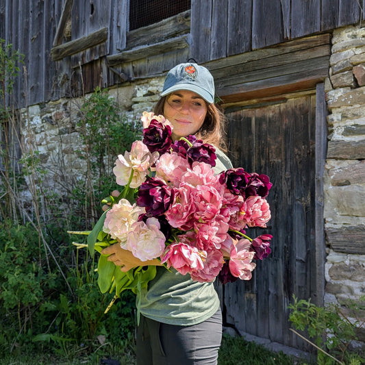 Tulips | Fall Bulbs | 10 Pack | Shipping Fall 2026